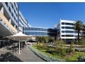 monash-university-melbourne-victoria-small-1