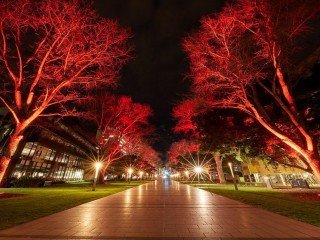 UNIVERSITY OF NEW SOUTH WALES - [UNSW], SYDNEY, NEW SOUTH WALES