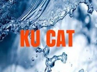 KU CAT 2020