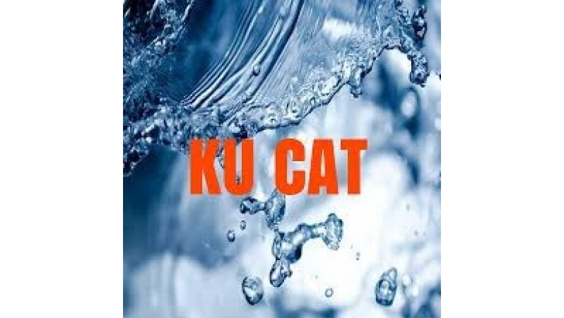 ku-cat-2020-big-1