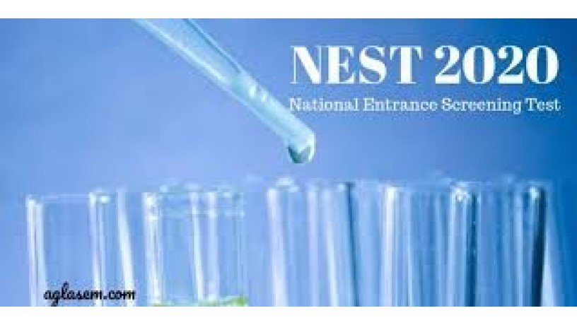 nest-2020-big-0