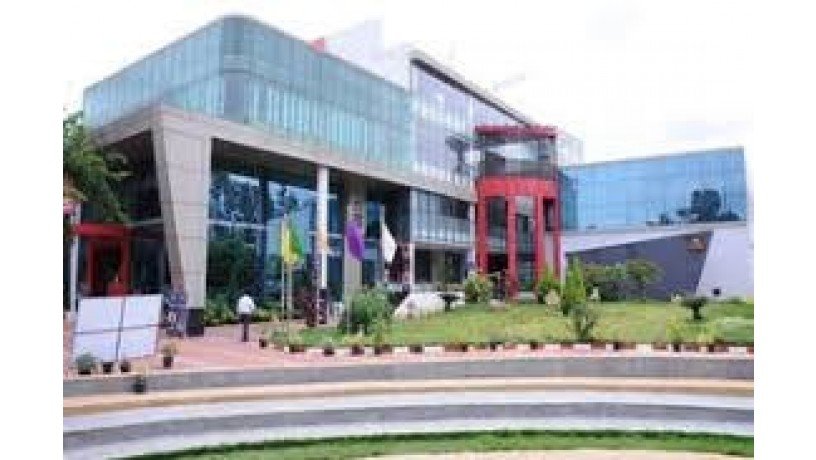 institute-of-business-management-and-research-international-business-school-bangalore-big-1