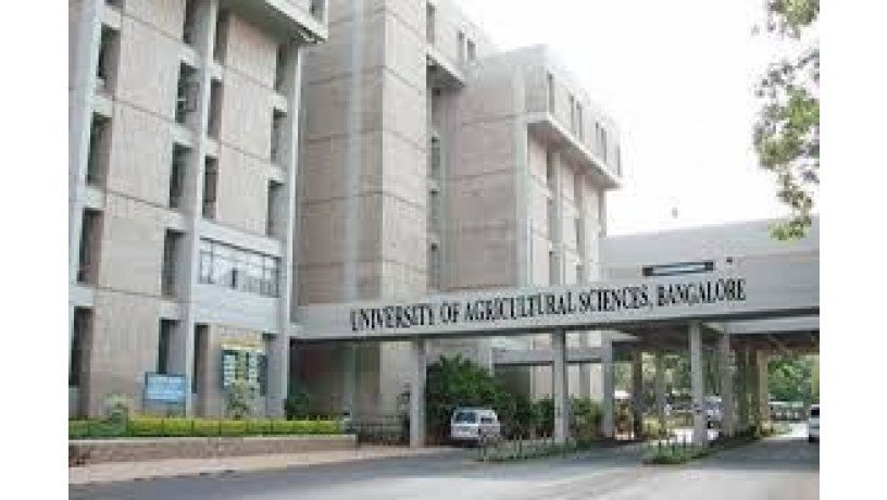 college-of-agriculture-big-2