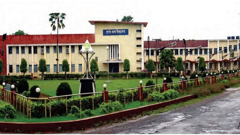 indira-gandhi-krishi-vishwavidyalaya-big-3