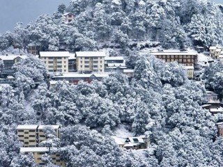 CHAUDHARY SARWAN KUMAR HIMACHAL PRADESH KRISHI VISHVAVIDYALAYA