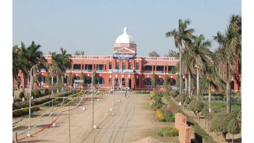 bihar-agricultural-university-big-0