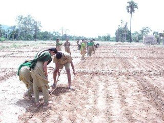 S. V. AGRICULTURAL COLLEGE