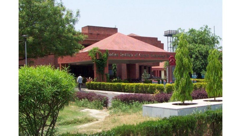 indian-institute-of-carpet-technology-iict-bhadohi-big-0