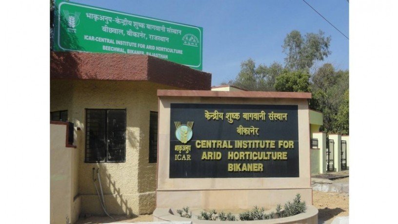 central-institute-for-arid-horticulture-big-1