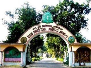 ASSAM AGRICULTURAL UNIVERSITY