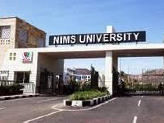 NIMS University