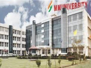 Maharishi Markandeshwar Mullana University