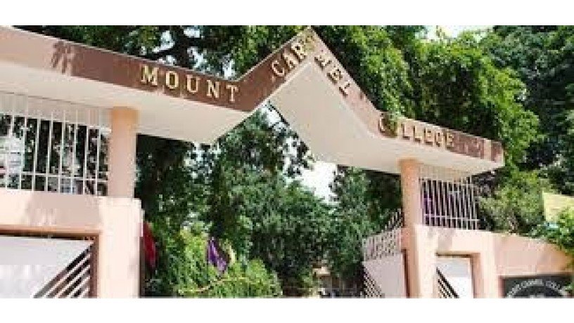 mount-carmel-college-big-2