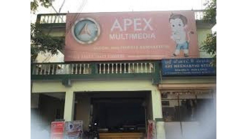 apex-institute-of-multimedia-big-3