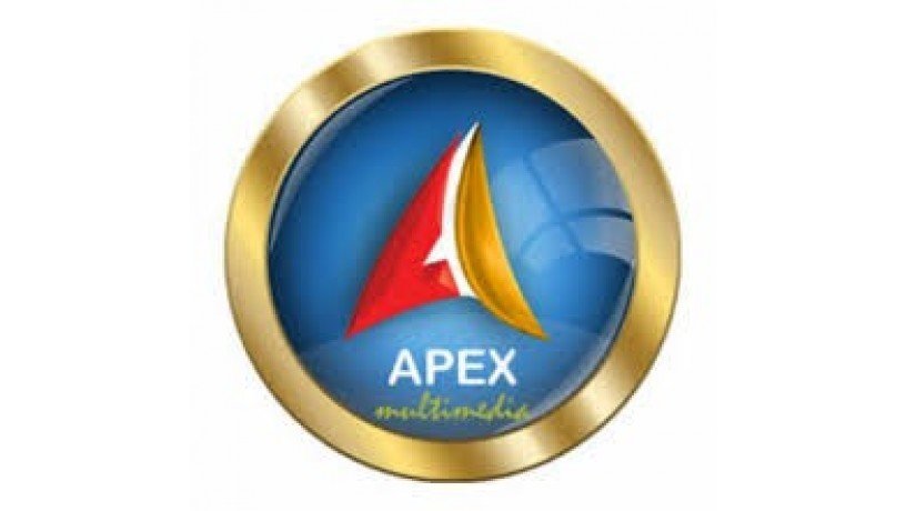 apex-institute-of-multimedia-big-0