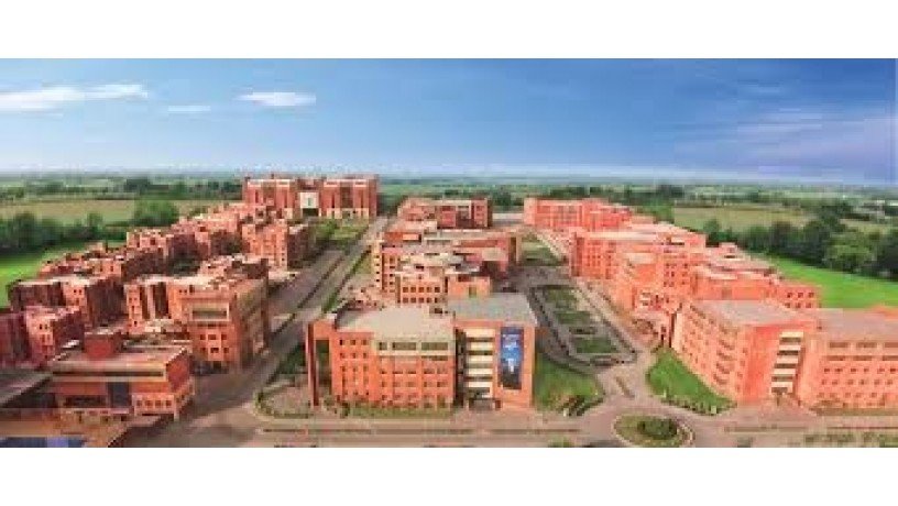 amity-university-big-2