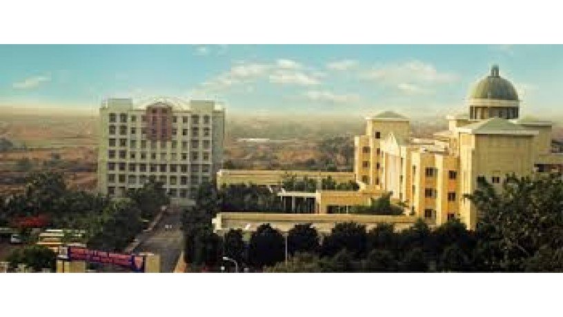 ajeenkya-dy-patil-university-big-1