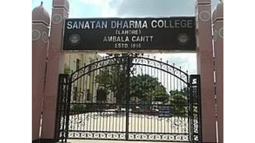 sanatan-dharam-college-big-2