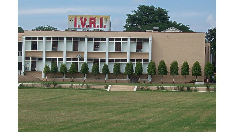 indian-veterinary-research-institute-big-1