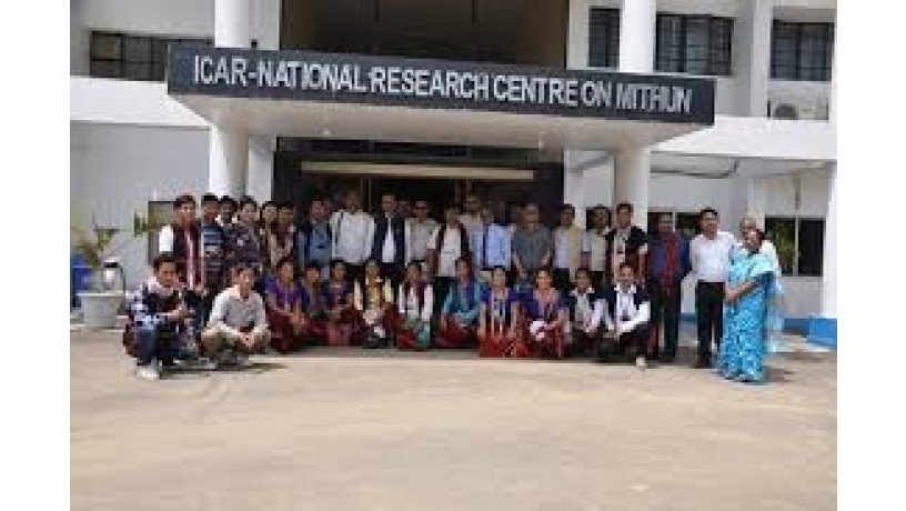 national-research-centre-on-mithun-big-1