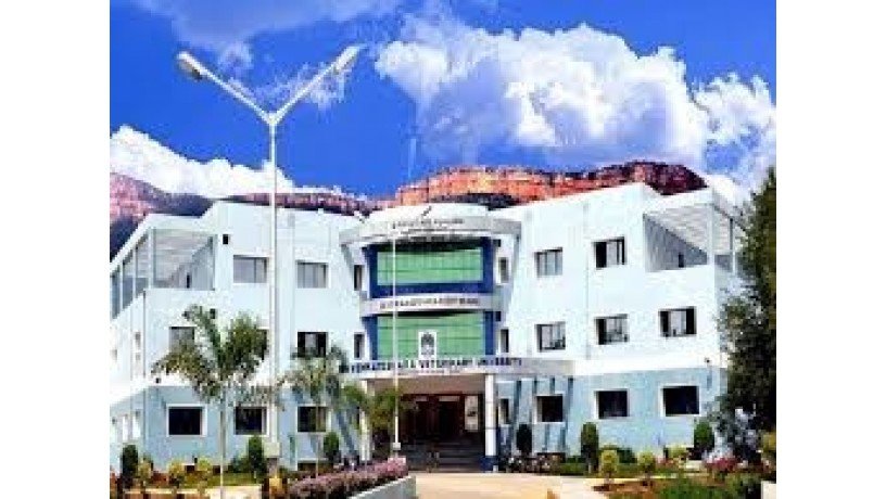 sri-venkateswara-veterinary-university-big-1