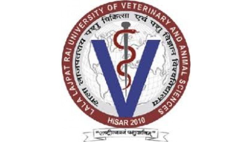 lala-lajpat-rai-university-of-veterinary-and-animal-sciences-big-0