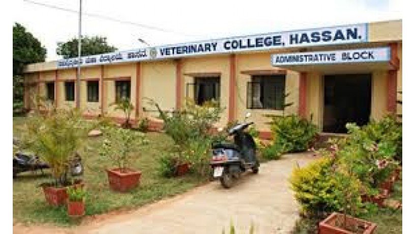 veterinary-college-vidyanagar-big-2