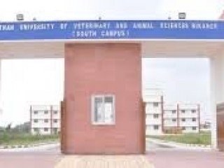 COLLEGE OF VETERINARY & ANIMAL SCIENCE