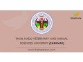 veterinary-college-and-research-institute-orathanadu-campus-small-0