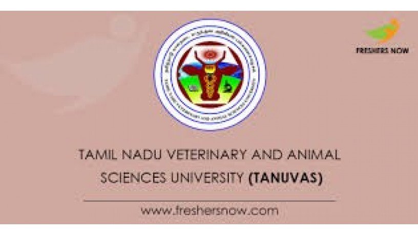 veterinary-college-and-research-institute-tirunelveli-campus-big-0