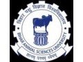 bihar-animal-sciences-university-small-0