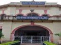 bihar-animal-sciences-university-small-1