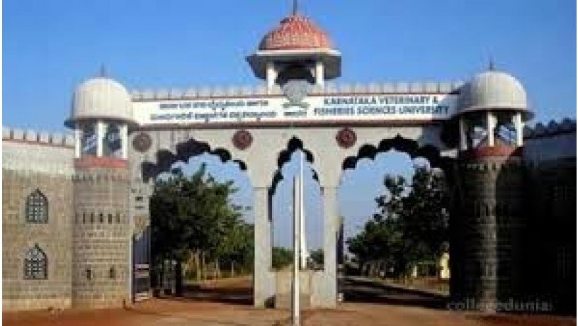 karnataka-veterinary-animal-and-fisheries-sciences-university-big-2