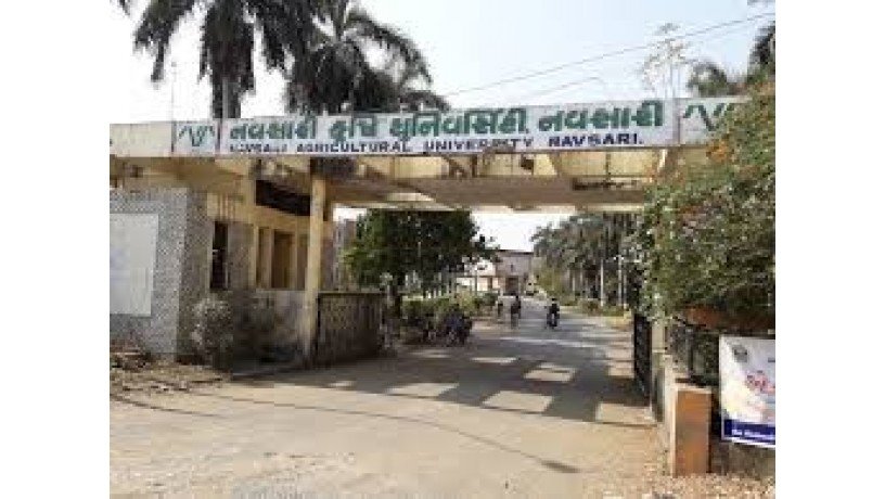 navsari-agricultural-university-big-1