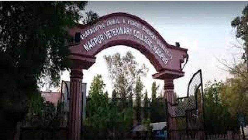 nagpur-veterinary-college-big-2