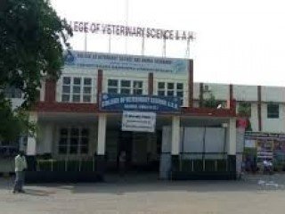 COLLEGE OF VETERINARY SCIENCE & ANIMAL HUSBANDRY ANJORA