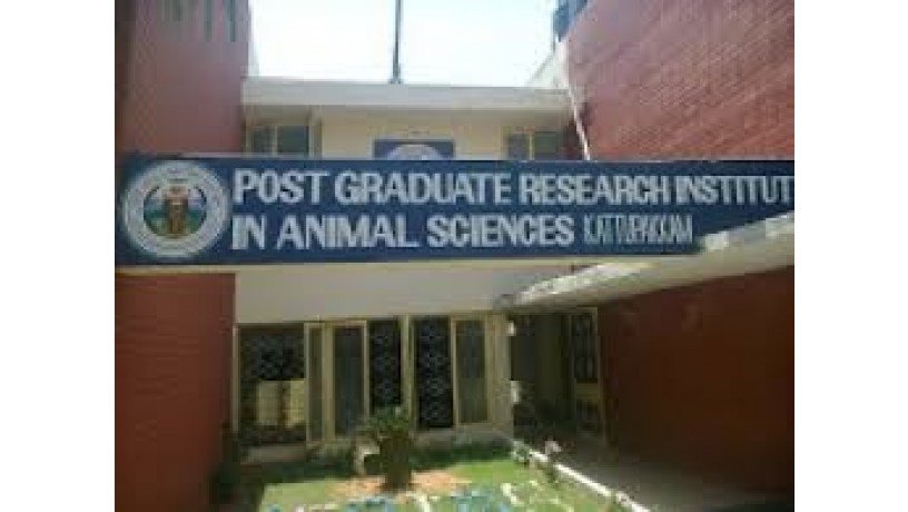 post-graduate-research-institute-in-animal-sciences-big-1