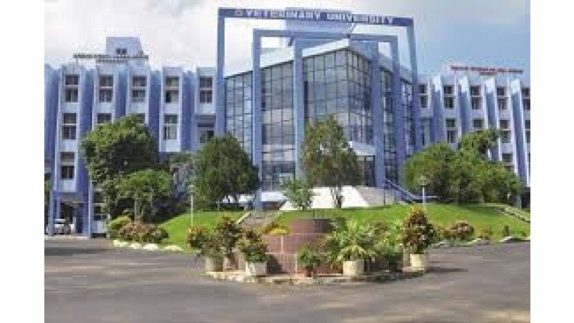 tamil-nadu-veterinary-and-animal-sciences-university-big-1