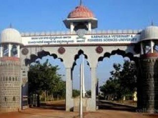 KARNATAKA VETERINARY ANIMAL AND FISHERIES SCIENCES UNIVERSITY