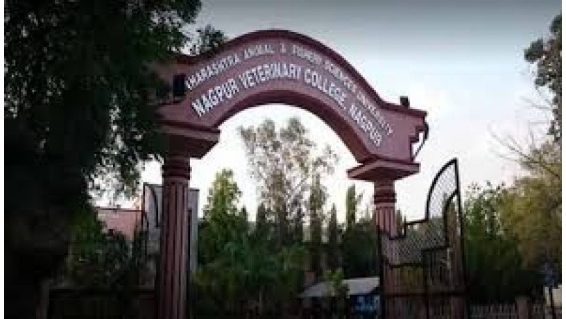 nagpur-veterinary-college-big-2