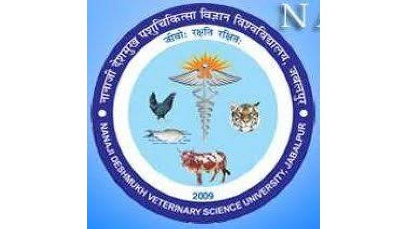 college-of-veterinary-science-and-animal-husbandry-deshmukh-veterinary-science-big-0