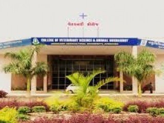 COLLEGE OF VETERINARY SCIENCE AND ANIMAL HUSBANDRY