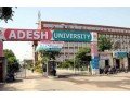 adesh-university-small-1