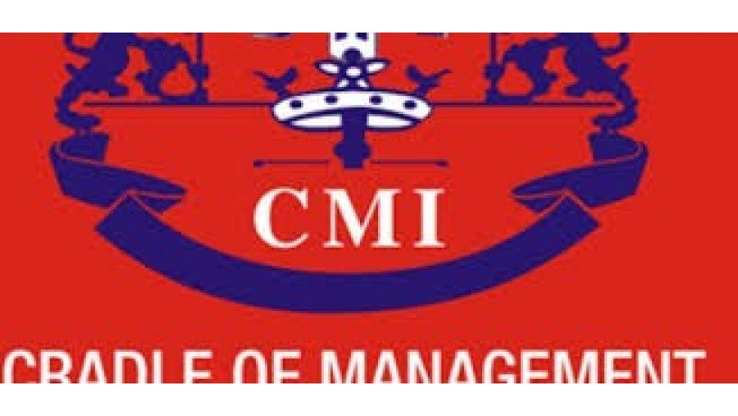 cradle-of-management-institute-big-0