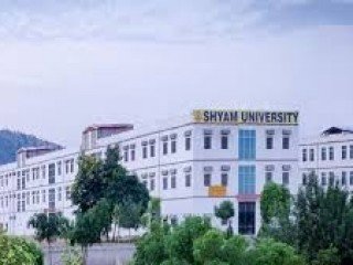 Shyam University