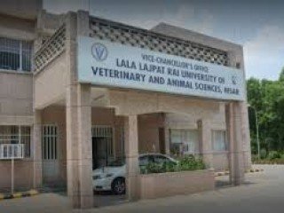 Lala Lajpat Rai University of Veterinary and Animal Sciences