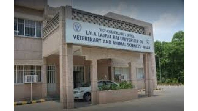 lala-lajpat-rai-university-of-veterinary-and-animal-sciences-big-2