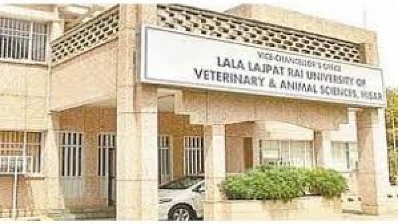 lala-lajpat-rai-university-of-veterinary-and-animal-sciences-big-1