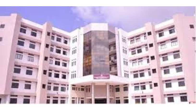 dr-dy-patil-college-of-physiotherapy-big-0