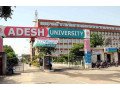 adesh-institute-of-biomedical-sciences-small-1